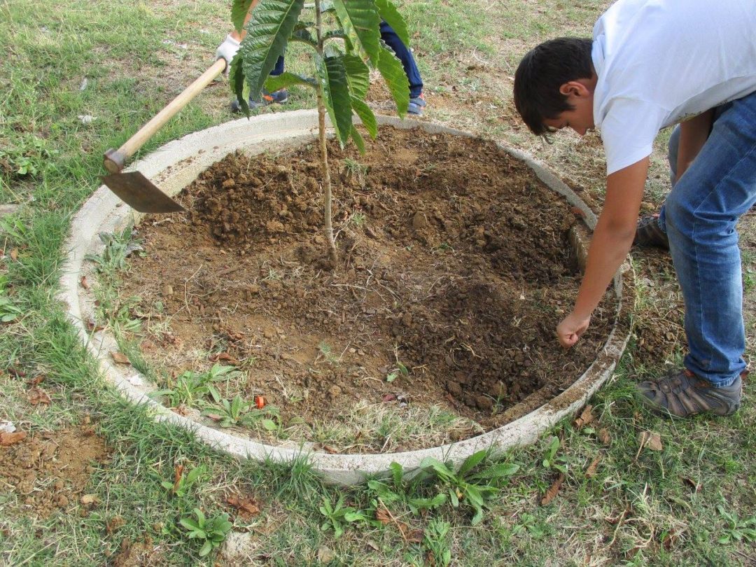 A Nossa Horta – EBI/JI Alvito