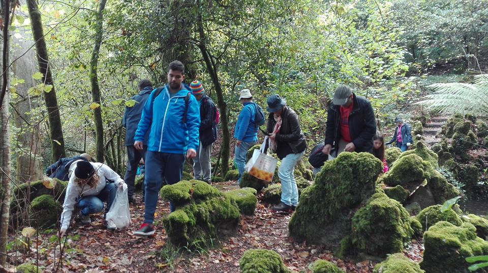 “Floresta Relíquia” do Bussaco doa sementes às áreas ardidas