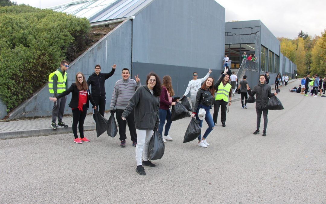 Limpeza da Mata da Escola/Remédios e zona envolvente da Escola
