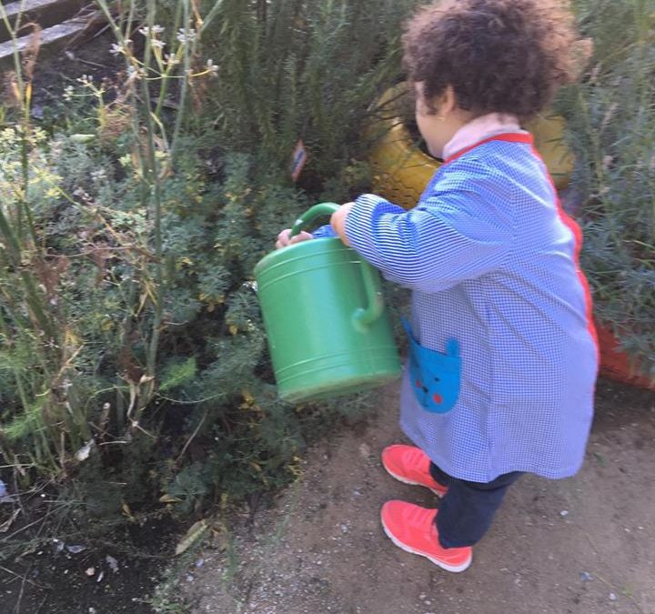 Cuidar da horta e explorar os cheiros das plantas aromáticas