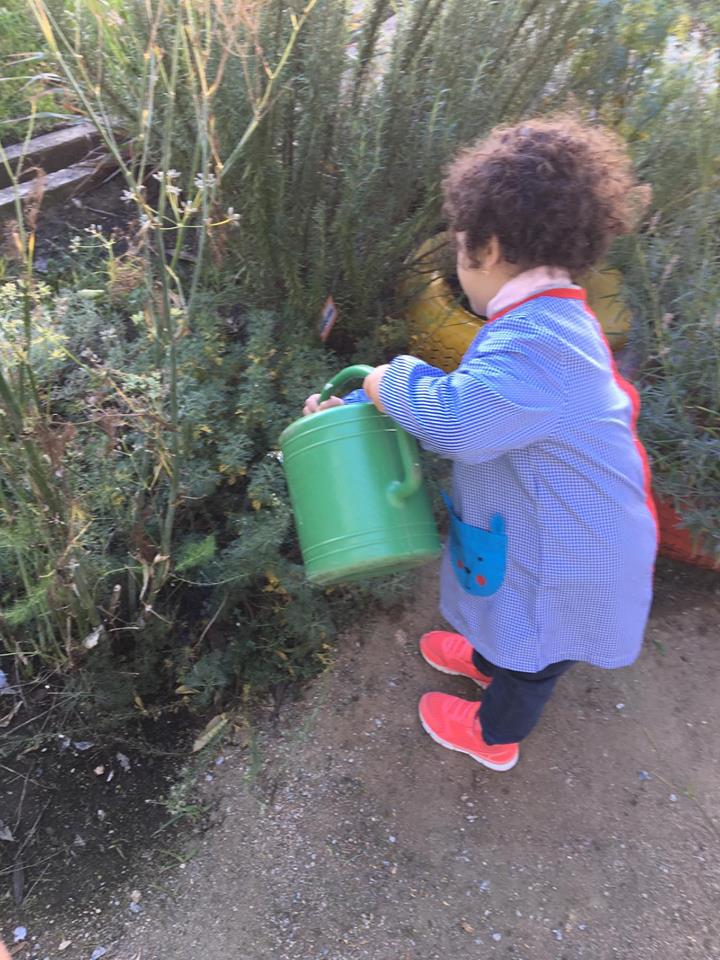 Cuidar da horta e explorar os cheiros das plantas aromáticas