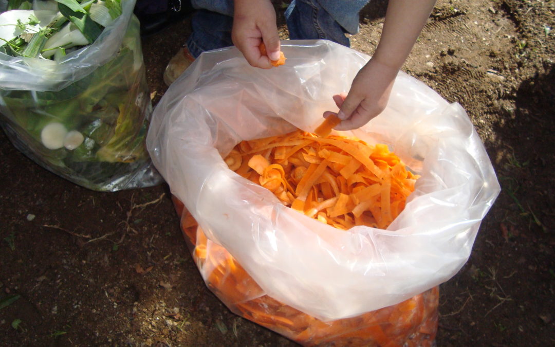 A Terra é uma máquina perfeita!