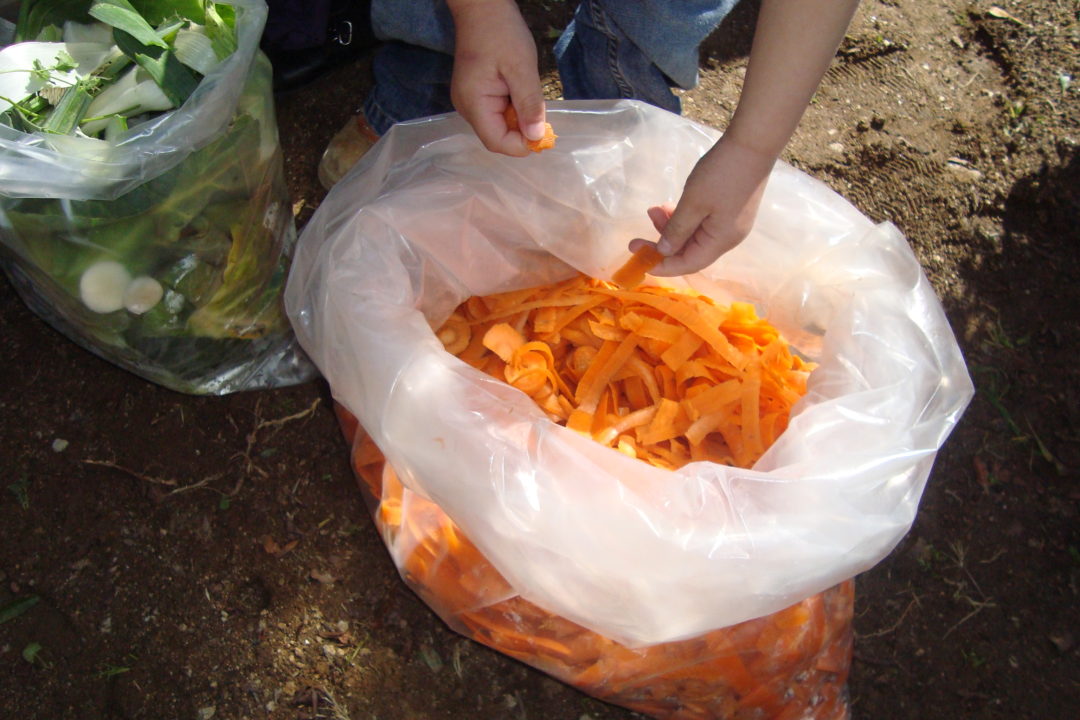 A Terra é uma máquina perfeita!