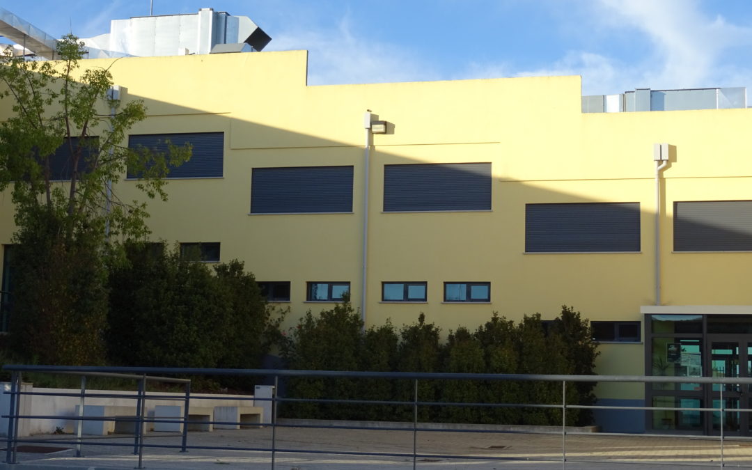 Lixo no caixote, no chão não!