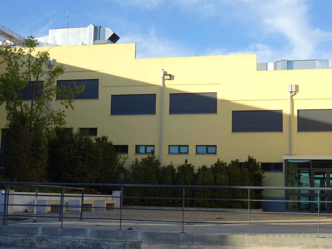 Lixo no caixote, no chão não!