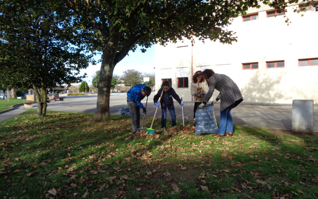 Brigadas Limpeza e Cultivo de plantas/flores