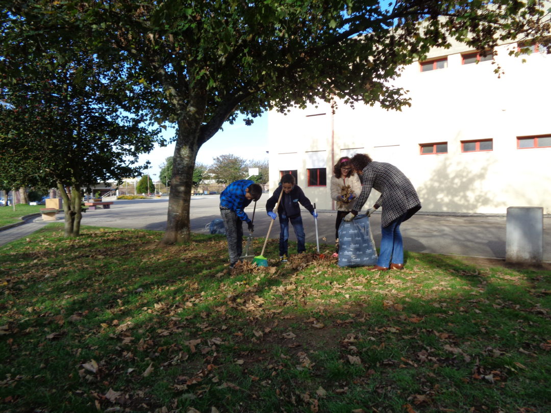 Brigadas Limpeza e Cultivo de plantas/flores