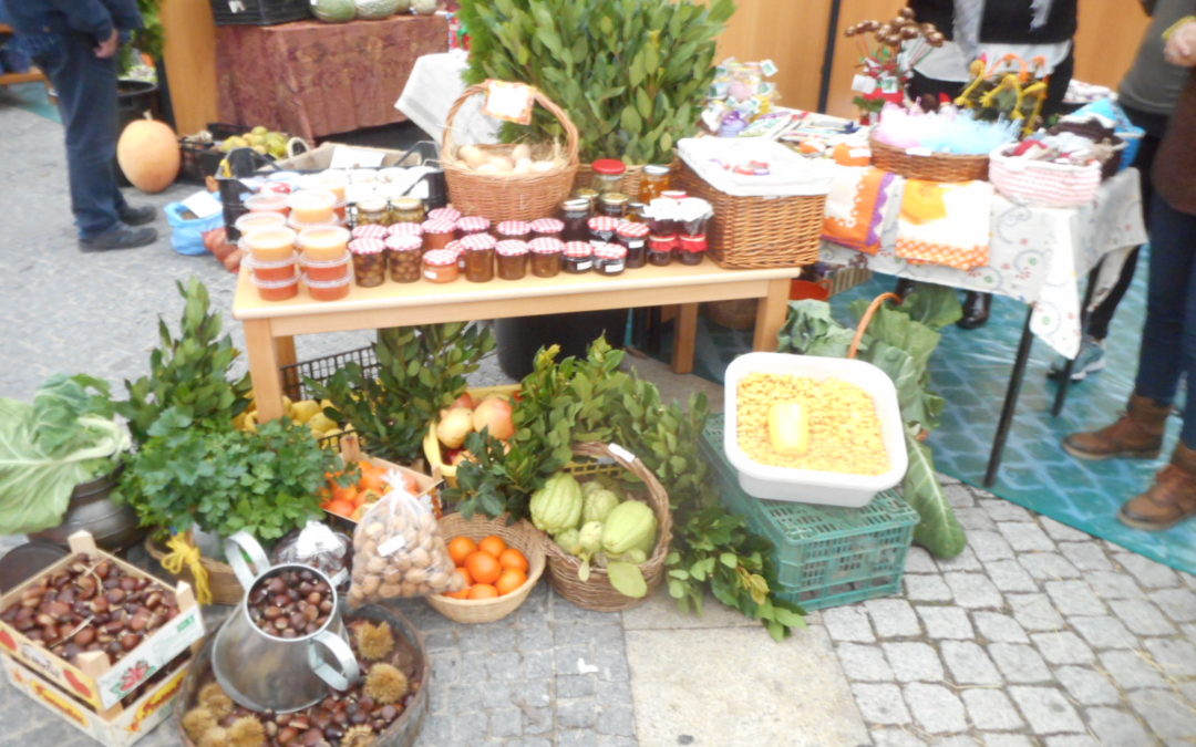 Dia Internacional Eco-Escolas