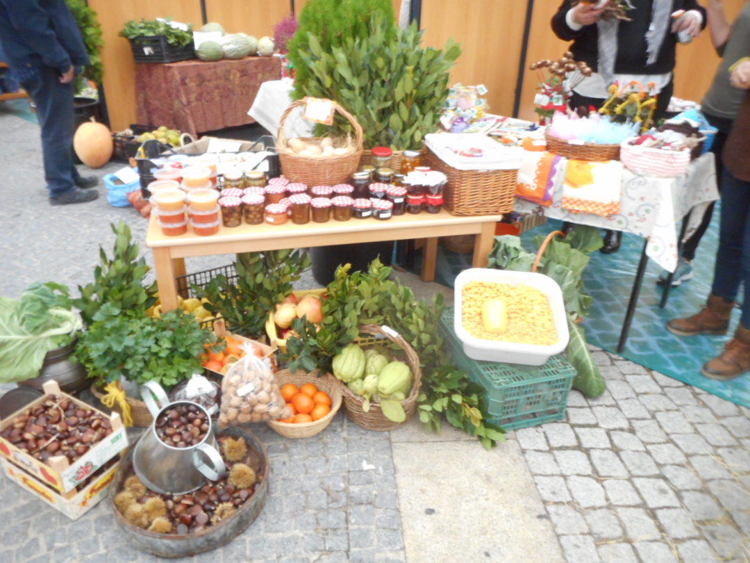Dia Internacional Eco-Escolas