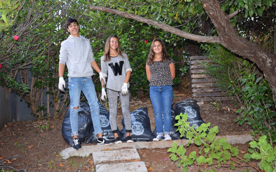 Limpeza dos jardins envolventes à EBSLMSD