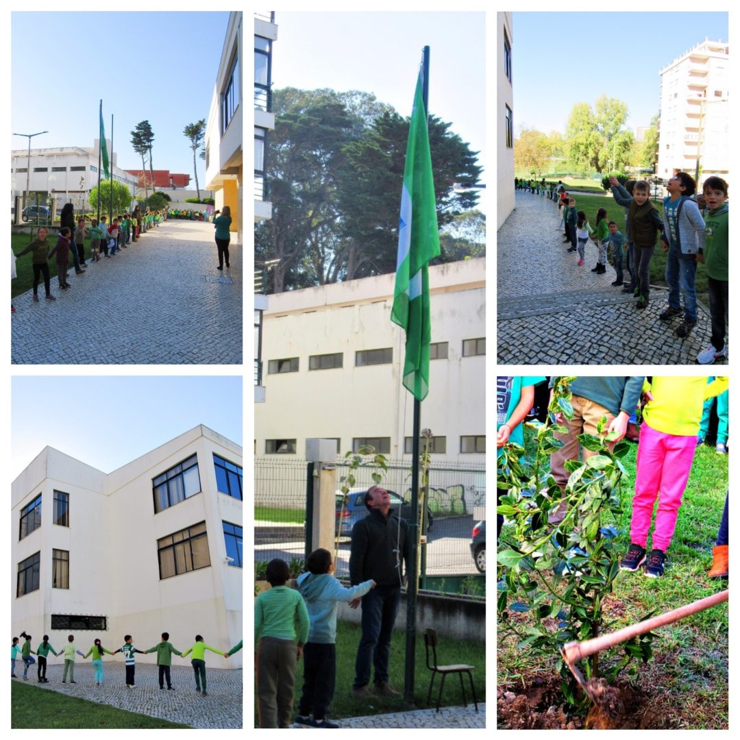 Dia Internacional Eco-Escolas – “Todos pela floresta”