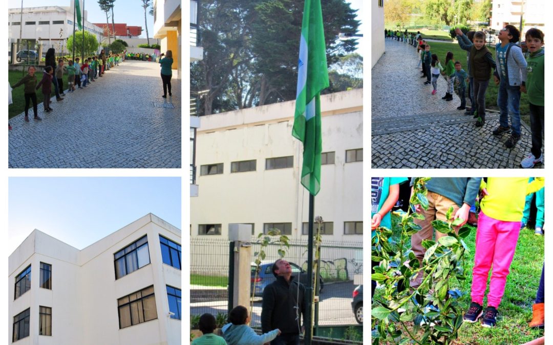 Dia Internacional Eco-Escolas – “Todos pela floresta”