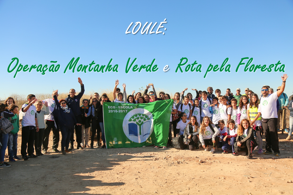 LOULÉ: OPERAÇÃO MONTANHA VERDE e ROTA PELA FLORESTA