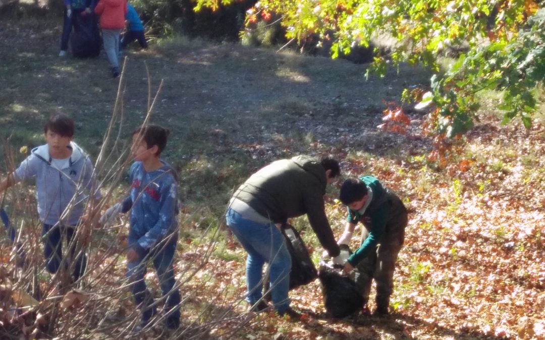 Marcha da limpeza e separação seletiva de resíduos