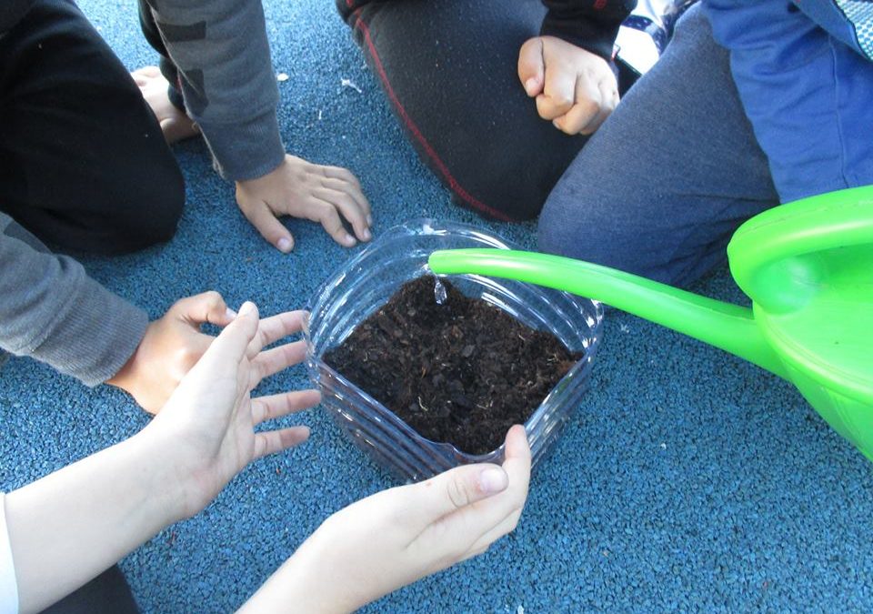 S. Martinho e Global Action Days