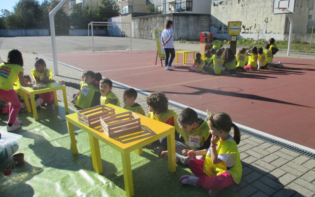 Alimentação Saudável e Sustentável