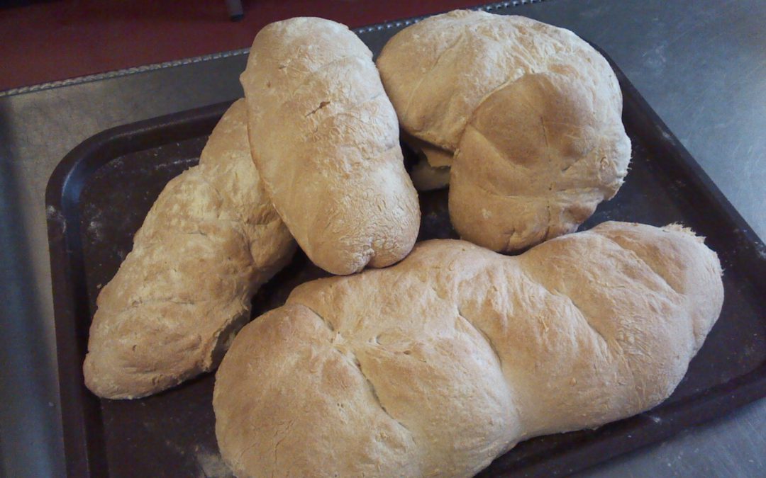 Dia Mundial da Alimentação – O Ciclo do Pão