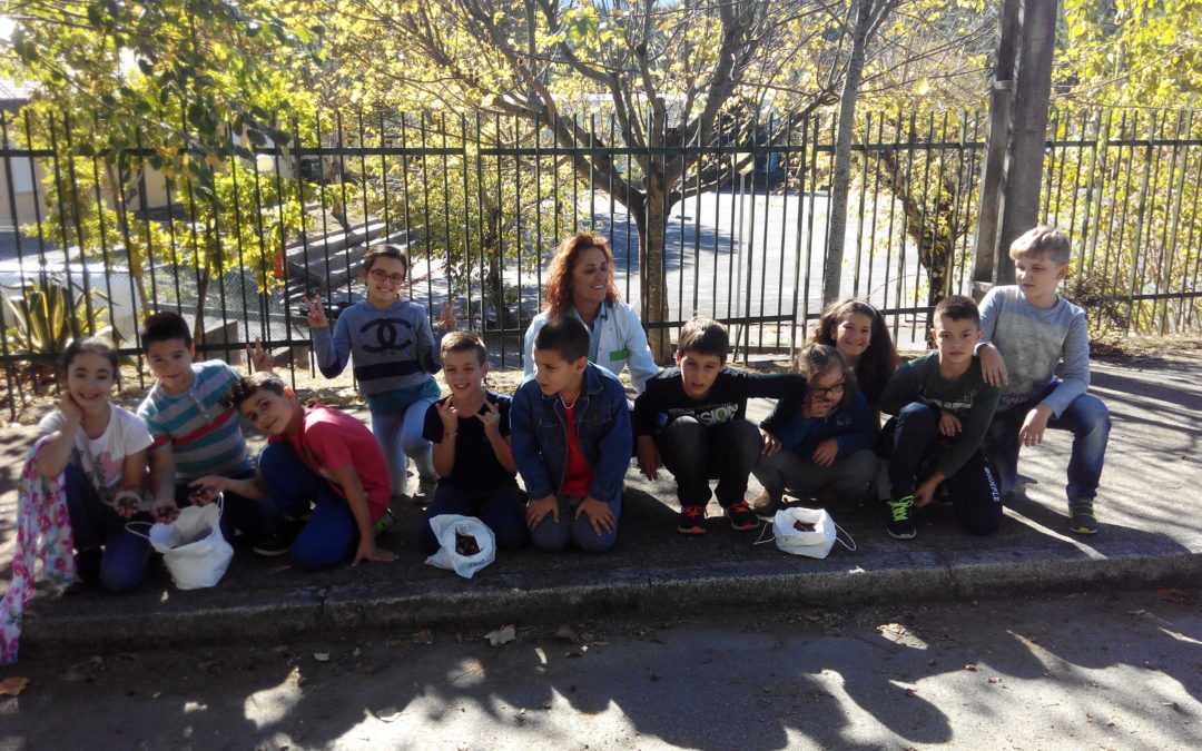 Dia Mundial das Bolotas