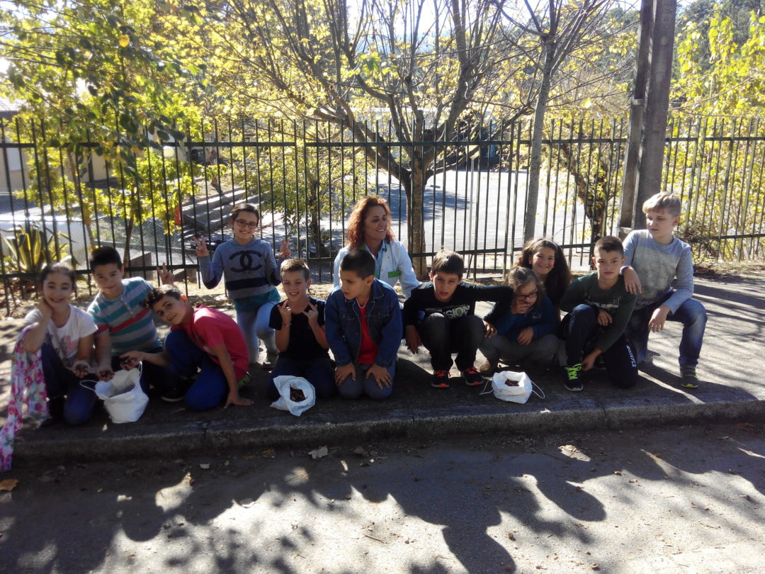 Dia Mundial das Bolotas