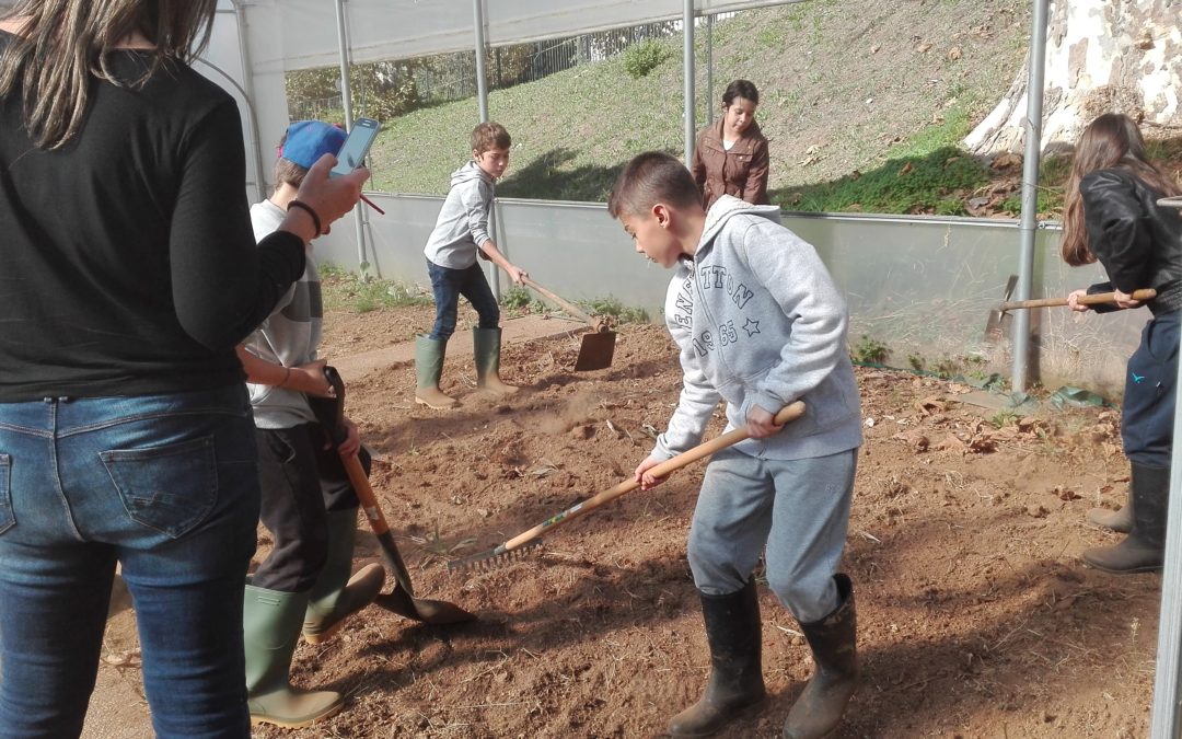 Primeiros trabalhos do ano na estufa da escola