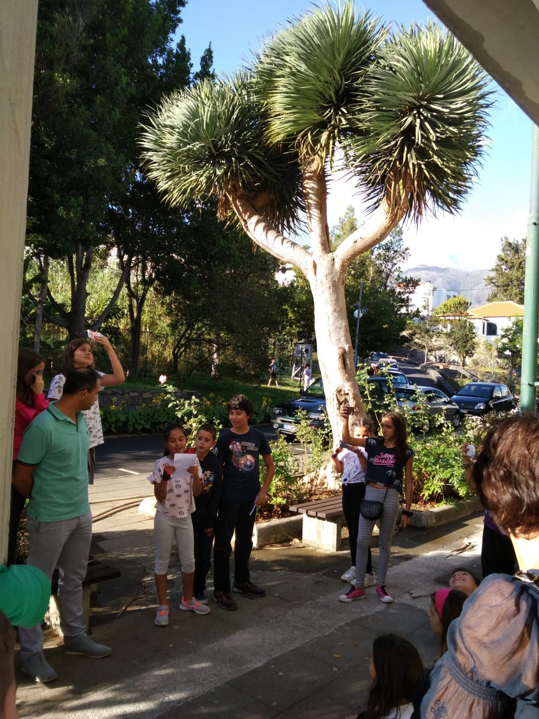 Conversas sobre plantas – de alunos para alunos