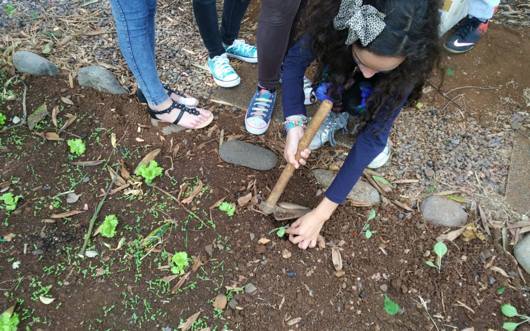 Cuidando da BioHorta.GZ