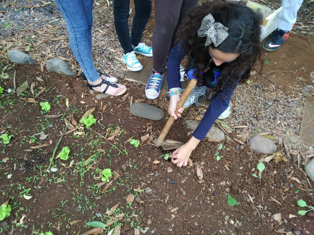 Cuidando da BioHorta.GZ