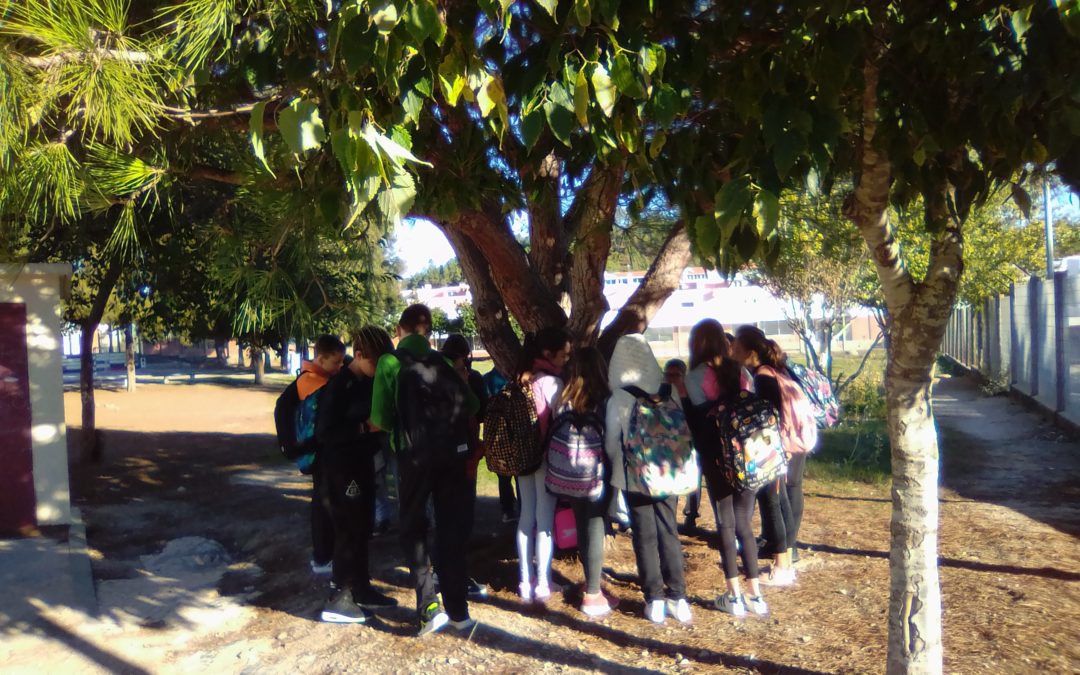 A importância da floresta