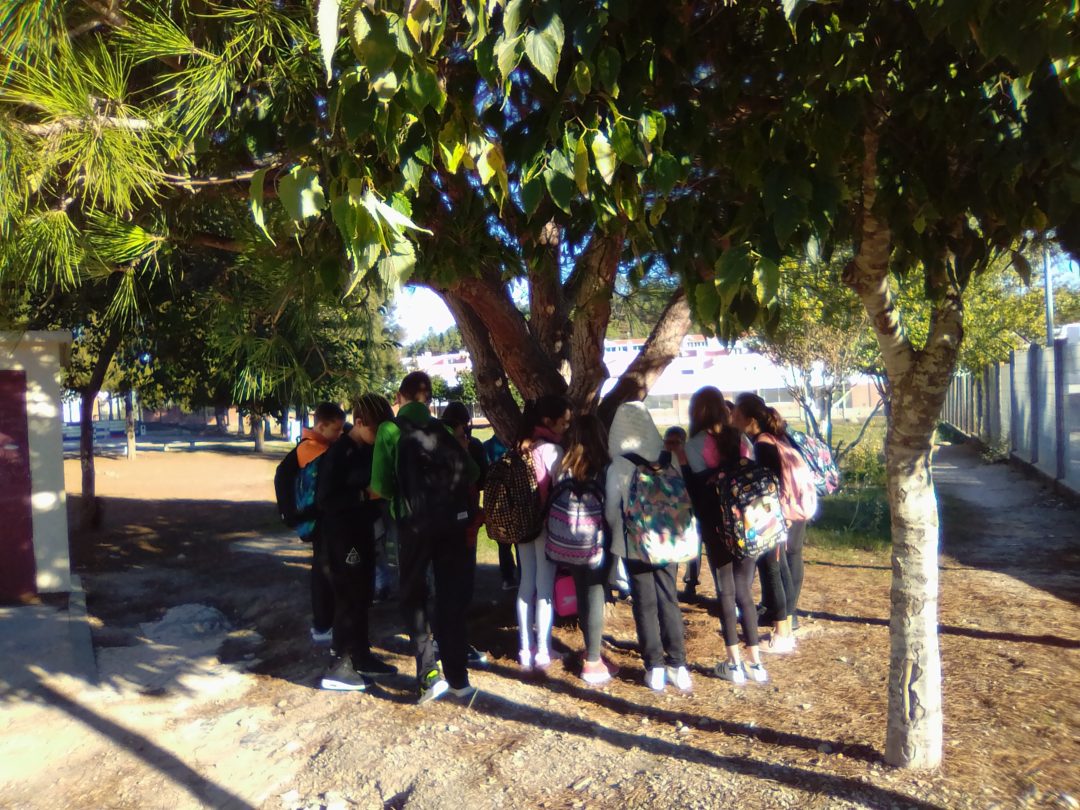 A importância da floresta