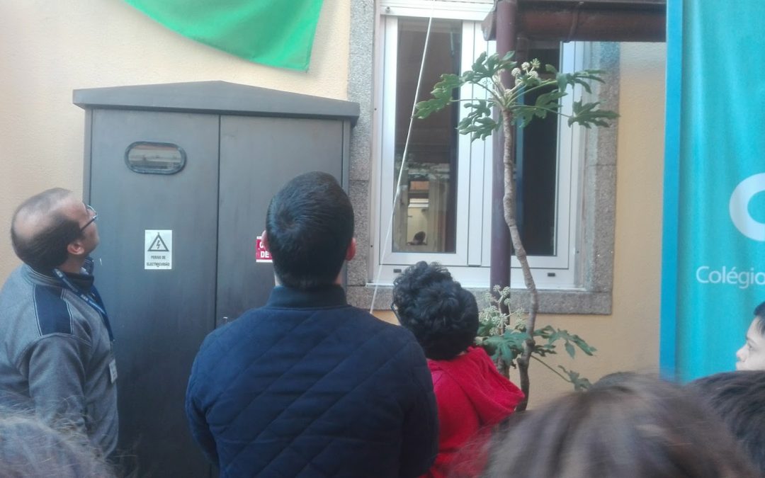 Hastear da bandeira 2016/2017