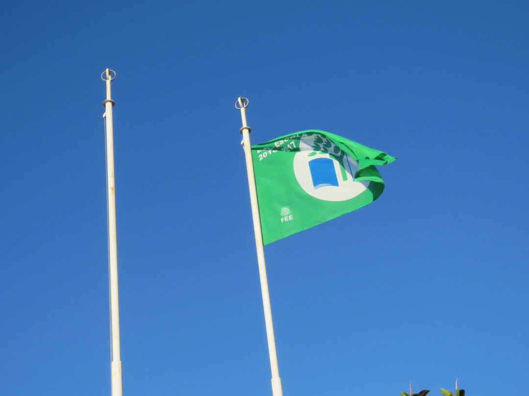 A Bandeira Verde está agora hasteada na Escola!
