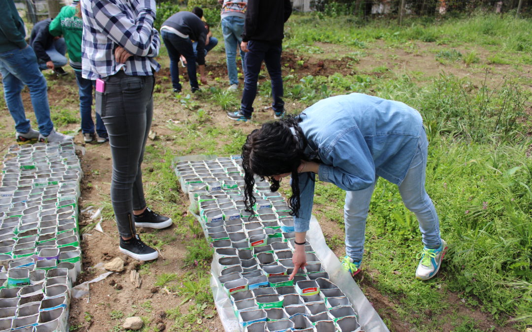INA desenvolve viveiro de plantas nativas