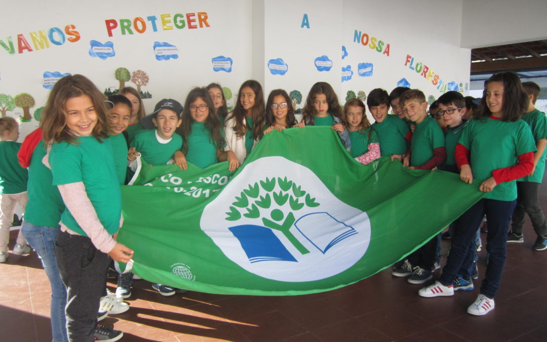 “Vamos proteger a nossa floresta”