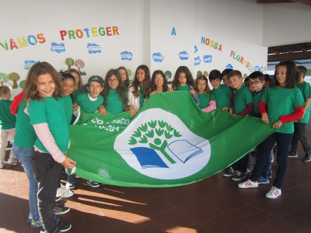 “Vamos proteger a nossa floresta”