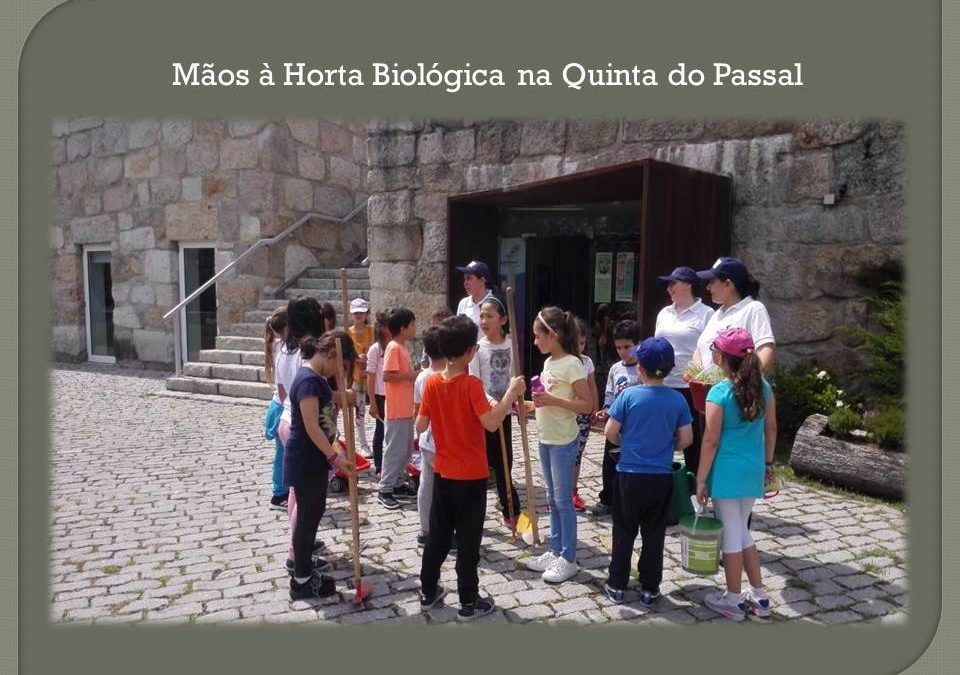 Mãos à Horta Biológica no CEA da Quinta Passal