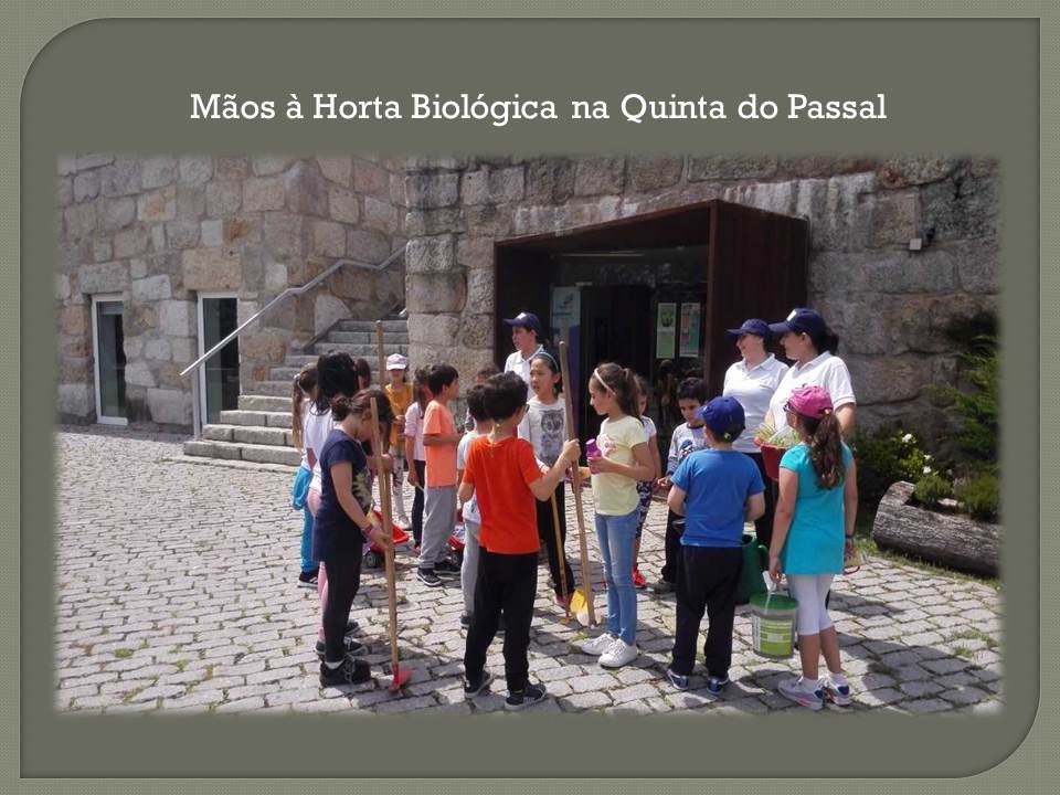 Mãos à Horta Biológica no CEA da Quinta Passal