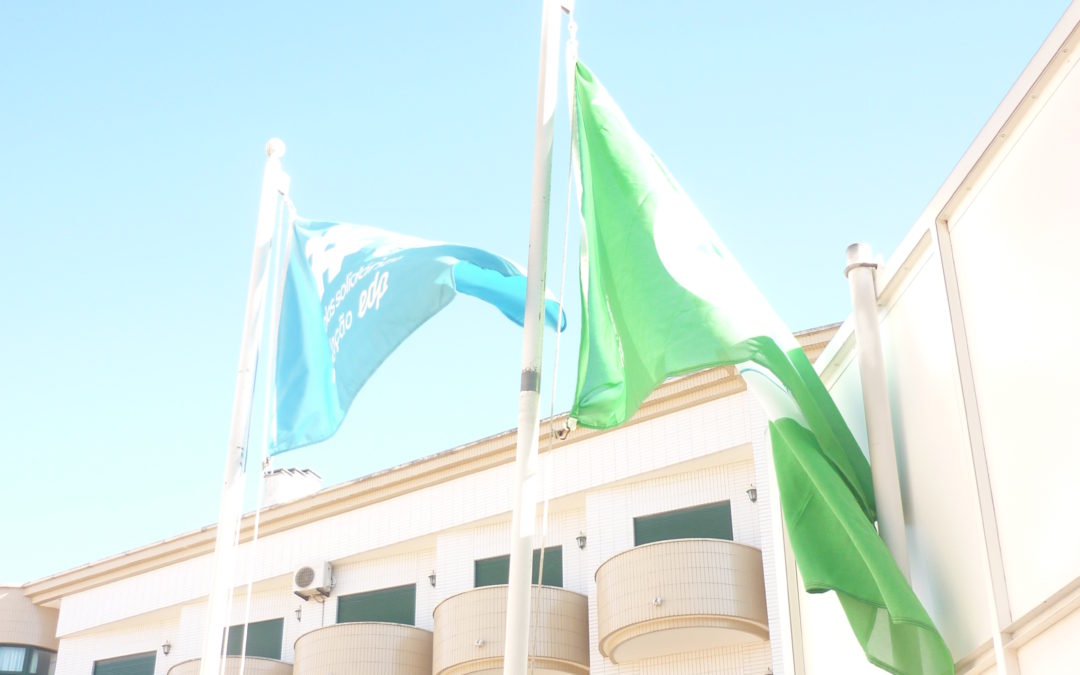 Hastear a Bandeira Eco-Escolas – Externato Cooperativo da Benedita