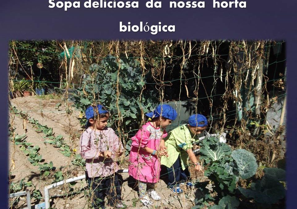 Sopa deliciosa  da  nossa  horta biológica