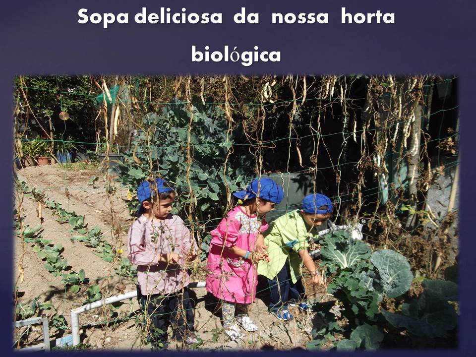 Sopa deliciosa  da  nossa  horta biológica