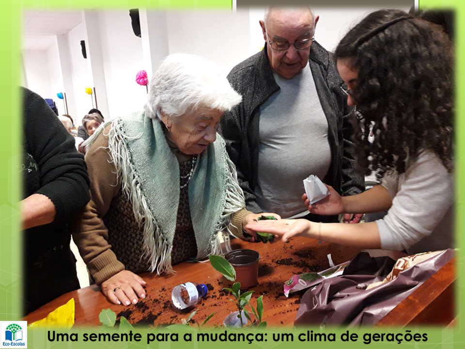 Uma semente para a mudança: um clima de gerações