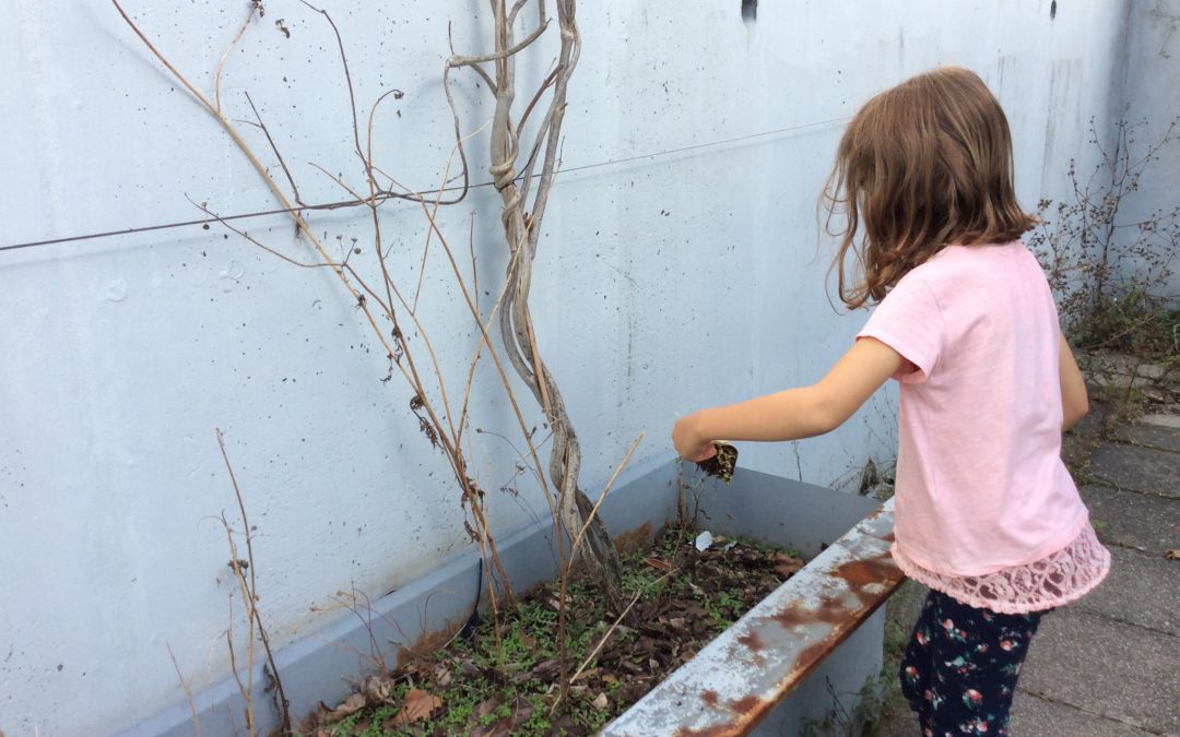 Limpeza dos canteiros dos pátios da salas de aula