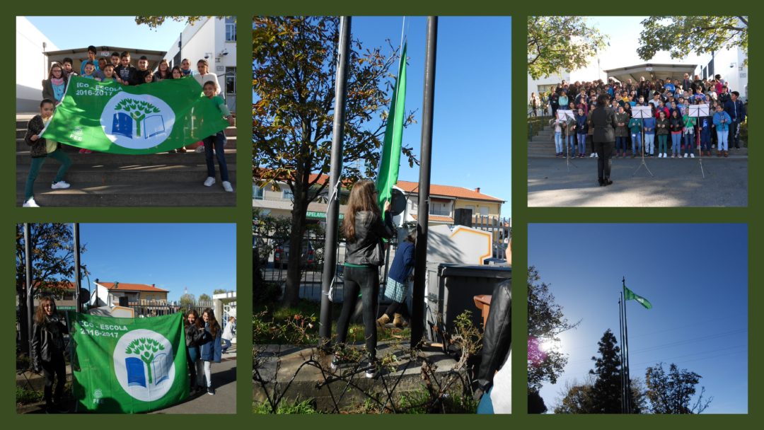 Hastear a Bandeira Verde
