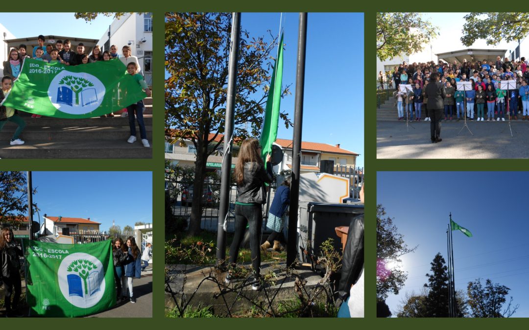 Hastear a Bandeira Verde
