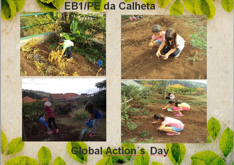 A nossa horta biológica