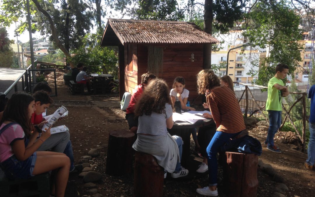 Aulas em ambiente natural