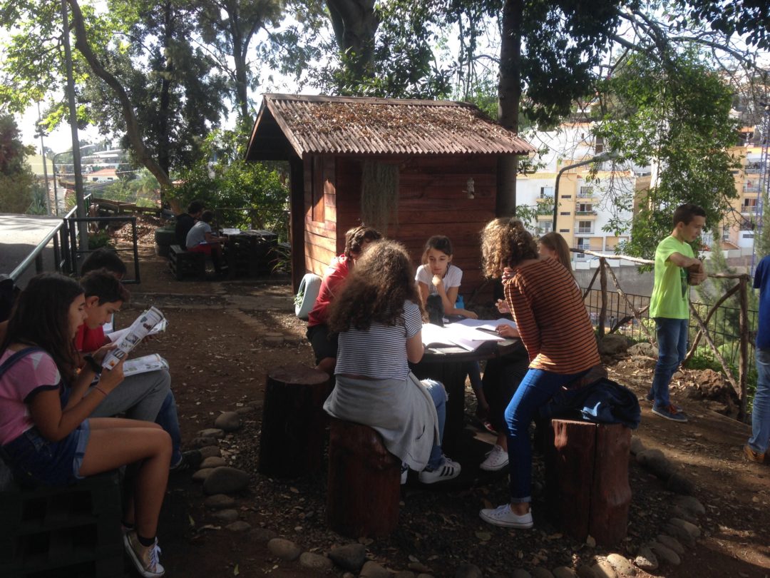 Aulas em ambiente natural