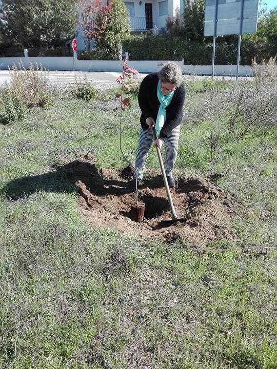 Comemoração do Dia Mundial da Bolota com as Juntas de Freguesia do concelho da Mealhada