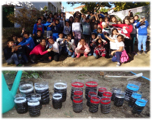 Tradições e floresta