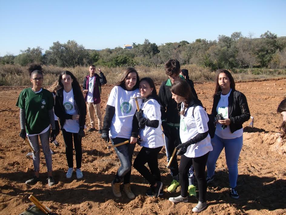 Montanha Verde – Rota pela Floresta