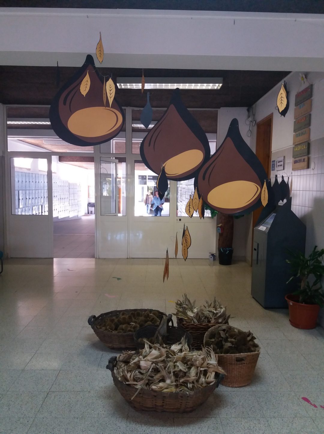 Global Action Days S. Martinho